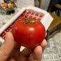 помидор, томат свежий Узбекистан в Смоленске и Смоленской области 2