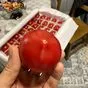 помидор, томат свежий Узбекистан в Смоленске и Смоленской области 4