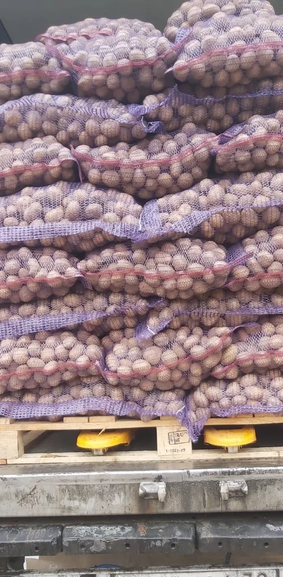элитный семенной картофель в Смоленске и Смоленской области